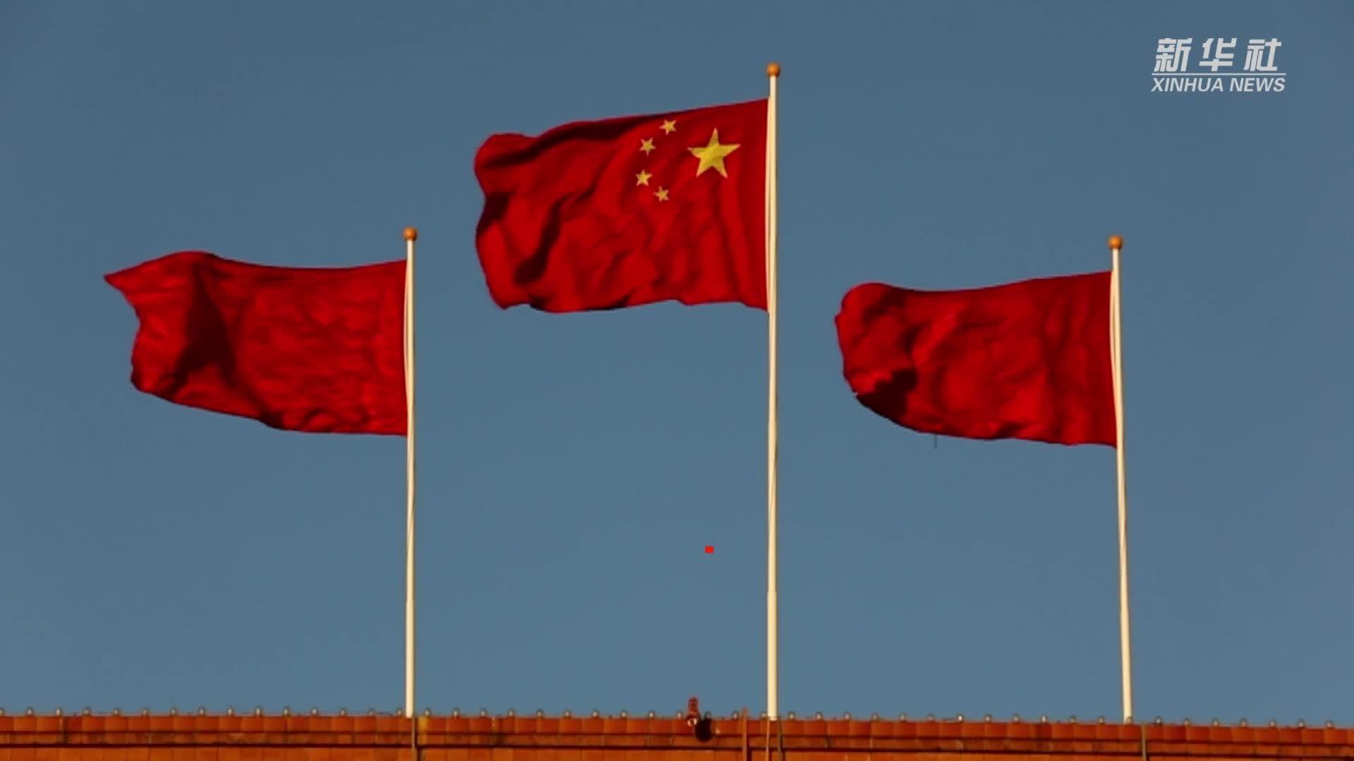 虫虫助手下载